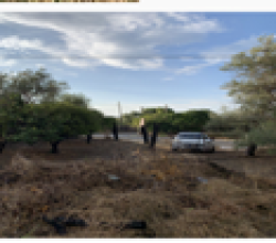 Terreno Agricolo in vendita